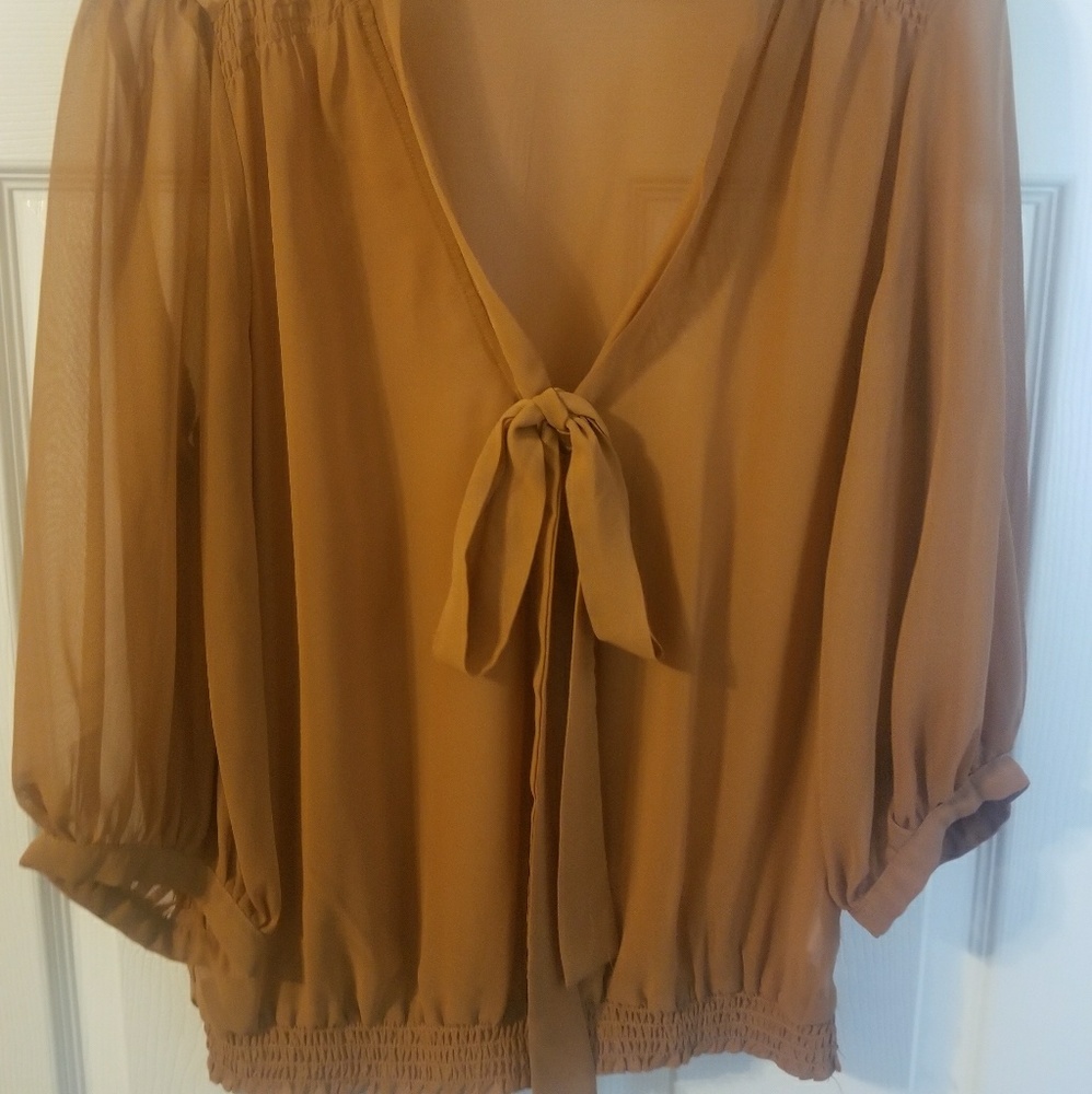 Rust colored sheer blouse